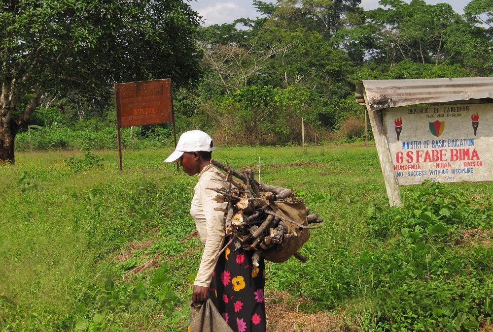 Oroko Georgia Sponsors Feasiblity Studies on Orokoland