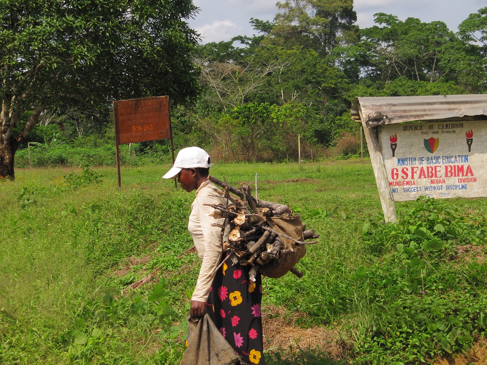 Oroko Georgia Sponsors Feasiblity Studies on Orokoland